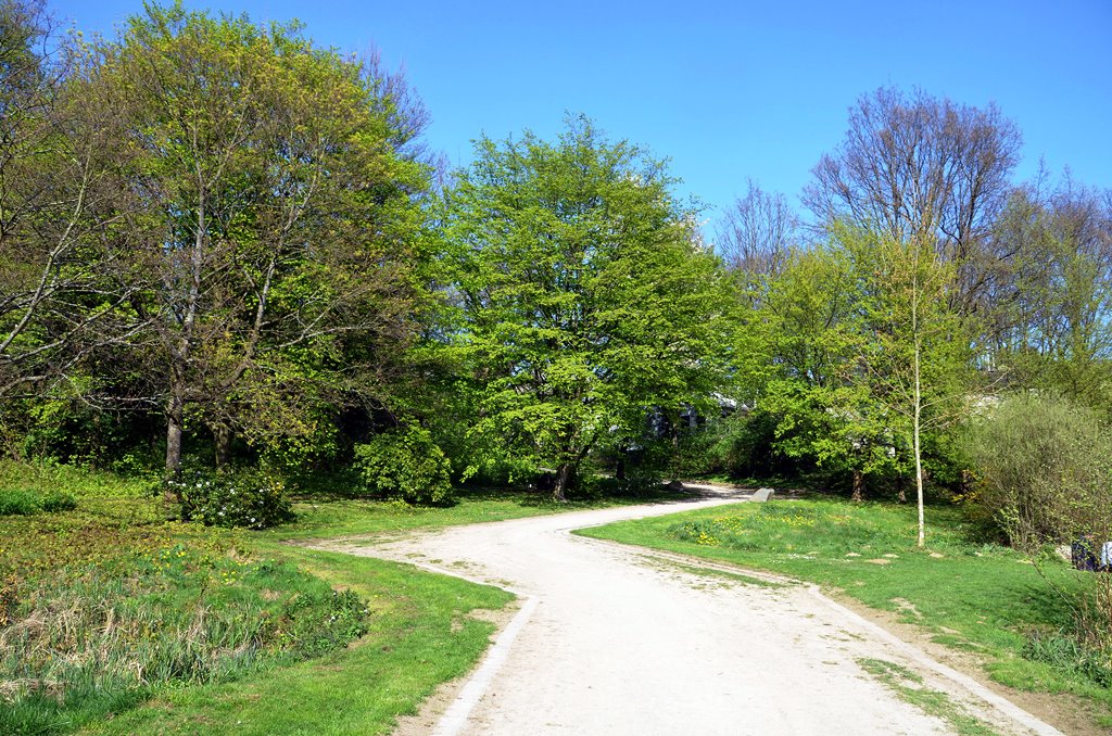 Grüne Oase am Stiehls Teich Das SolingenMagazin