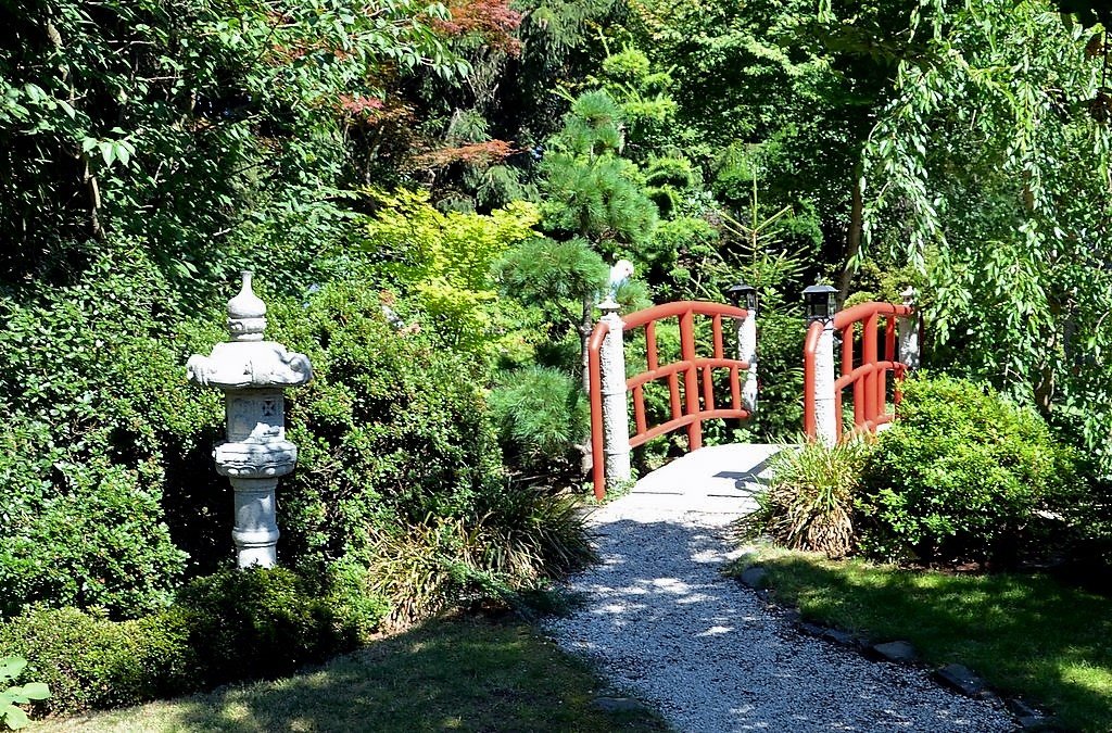 Hier hat der Japanische Garten in Leverkusen Pate gestanden. Die kleine Bogenbrücke hat Andreas Ritter selbst entworfen und gebaut. (Foto: © Martina Hörle)