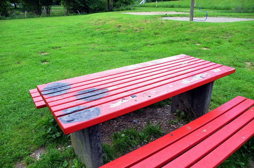 Leider richten verantwortungslose Mitmenschen immer wieder große Schäden an. Hier wurden Picknickplätze verunreinigt und mit Farbe besprüht. (Foto: © Martina Hörle)