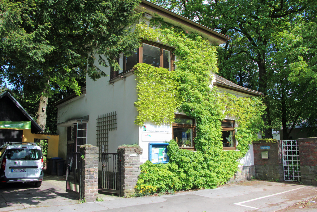 Seit 1998 befindet sich die Biologische Station Mittlere Wupper in dem kleinen Haus vor dem Zugang zum Botanischen Garten. (Foto © Sandra Grünwald)