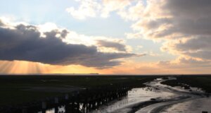 Dithmarschen: Land zwischen Wattenmeer und Nord-Ostsee-Kanal Dithmarschen, im Land der Kohlfelder, Windkraftanlagen und Alleen gibt es vielfältige Landschaften zwischen Nordseeküste, Sümpfen und Marschland zu entdecken. (Foto © Sandra Grünwald)