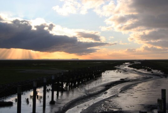 Dithmarschen, im Land der Kohlfelder, Windkraftanlagen und Alleen gibt es vielfältige Landschaften zwischen Nordseeküste, Sümpfen und Marschland zu entdecken. (Foto © Sandra Grünwald)