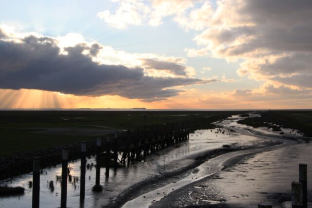 Dithmarschen, im Land der Kohlfelder, Windkraftanlagen und Alleen gibt es vielfältige Landschaften zwischen Nordseeküste, Sümpfen und Marschland zu entdecken. (Foto © Sandra Grünwald)