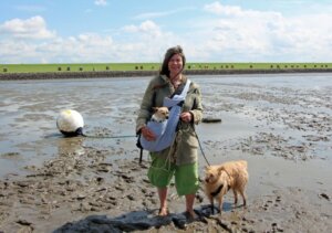 Das Watt in Dithmarschen besteht zum Großteil aus Schlick. (Foto © Sandra Grünwald)