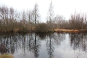 Mystische Stimmung im Süderholmer/Ostroher Moor. (Foto © Sandra Grünwald)