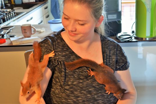 Wildpäpplerin Lena Sonnenschein widmet sich als Betreiberin einer privaten Wildtierpflegestelle mit viel Engagement und Herzblut der Pflege von Eichhörnchen. Die beiden Hörnchen Elsa und Lutz haben es dank ihrer Hilfe geschafft. (Foto: © Martina Hörle)
