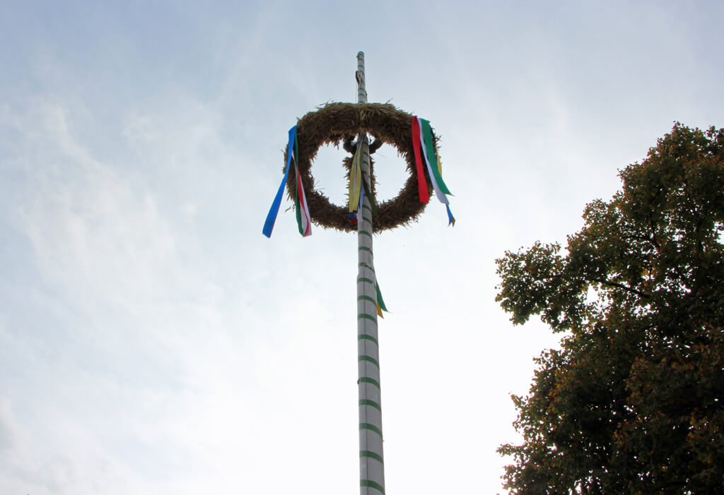 Der Erntebaum steht. (Foto © Sandra Grünwald)