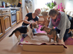 Die Fellfreunde Judith Biermann (li.) und Carola Horlemann setzen sich intensiv für Hunde in Ungarn ein. (Foto: © Martina Hörle)