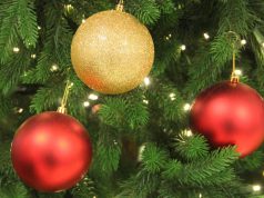 Wir wünschen allen Leserinnen und Lesern ein frohes Weihnachtsfest und einen guten Rutsch ins neue Jahr! (Foto: © Bastian Glumm)