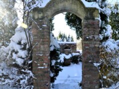 Noch liegt der Klostergarten unter einer Schneedecke. Doch bald wird die winterblühende Clematis ihre ersten Knospen öffnen. (Foto: © Martina Hörle)
