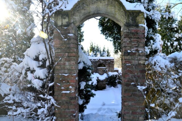 Noch liegt der Klostergarten unter einer Schneedecke. Doch bald wird die winterblühende Clematis ihre ersten Knospen öffnen. (Foto: © Martina Hörle)