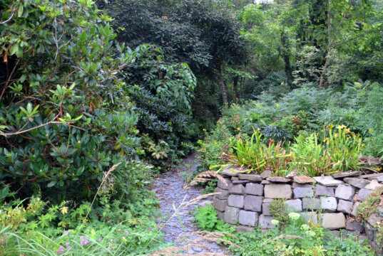 Ein Weg aus silbergrauen Schieferplättchen führt in den atmosphärenreichen Schattengarten. Dieser Ort zeigt, wie harmonisch Flora und Fauna miteinander leben können. (Foto: © Martina Hörle)