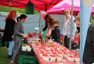 Die gesunden süßen Erdbeeren durften beim Garten- und Blumenmarkt natürlich auch nicht fehlen. (Foto © Sandra Grünwald)