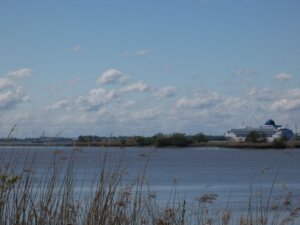 Blick auf die Elbe, die hier von der Rhinplatte geteilt wird. (Foto © Sandra Grünwald)