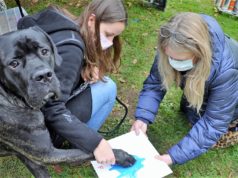 Am Stand von Karen Ulrich und Michael Boeck konnten Hundebesitzer Pfotenabdrücke ihrer Vierbeiner machen lassen. So manche Fellnase fragte sich, ob das mit der Farbe wirklich ernst gemeint war. (Foto: © Martina Hörle)