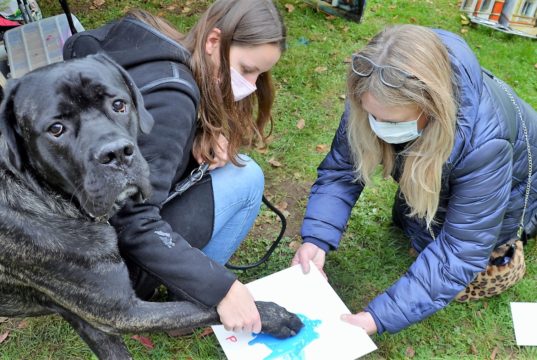 Am Stand von Karen Ulrich und Michael Boeck konnten Hundebesitzer Pfotenabdrücke ihrer Vierbeiner machen lassen. So manche Fellnase fragte sich, ob das mit der Farbe wirklich ernst gemeint war. (Foto: © Martina Hörle)