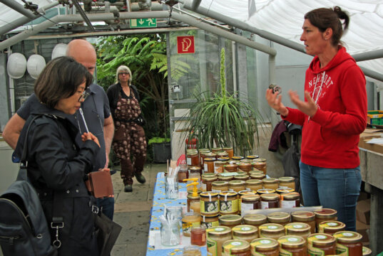 Beim 17. Imkertag informierten die Solinger Imker über Bienen und Honig. (Foto © Sandra Grünwald)