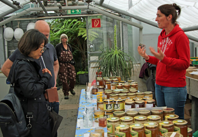Beim 17. Imkertag informierten die Solinger Imker über Bienen und Honig. (Foto © Sandra Grünwald)
