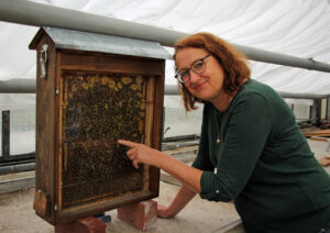 Doris Frommhold-Kempa erklärte gerne, was die Bienen in ihrem Kasten so alles treiben. (Foto © Sandra Grünwald)