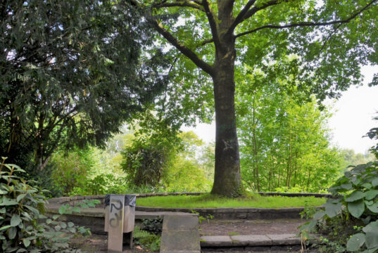 An diesem wunderschönen Platz unter der alten Eiche im Coppelpark werden Saga Grünwald, Martina Hörle und Ginkya Rea Sufiani aus der neuen Anthologie lesen. (Foto: © Martina Hörle)