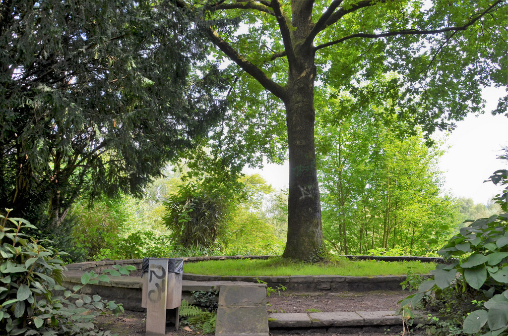 An diesem wunderschönen Platz unter der alten Eiche im Coppelpark werden Saga Grünwald, Martina Hörle und Ginkya Rea Sufiani aus der neuen Anthologie lesen. (Foto: © Martina Hörle)