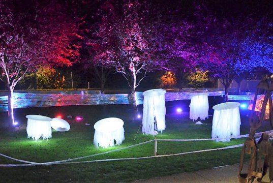 Die diesjährige Lichternacht stand unter dem Motto „Meer Licht“. Dazu hatte Peter Amann aus Deckenleuchten Quallen gestaltet, die ihre Tentakel im Wind wehen ließen. (Foto: © Martina Hörle)