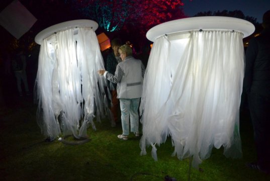 Diese Lichtwesen schwebten bei der Lichternacht unter der Baumallee und sorgten für stimmungsvolle Beleuchtung. (Foto: © Martina Hörle)