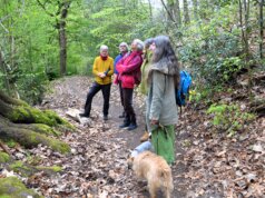 Am vergangenen Samstag ging es mit Saga Grünwald auf eine mystische Wanderung durch die Welt der Bäume. (Foto: © Martina Hörle)