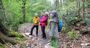 Am vergangenen Samstag ging es mit Saga Grünwald auf eine mystische Wanderung durch die Welt der Bäume. (Foto: © Martina Hörle)