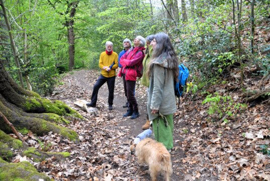 Am vergangenen Samstag ging es mit Saga Grünwald auf eine mystische Wanderung durch die Welt der Bäume. (Foto: © Martina Hörle)