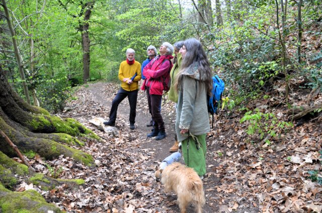 Am vergangenen Samstag ging es mit Saga Grünwald auf eine mystische Wanderung durch die Welt der Bäume. (Foto: © Martina Hörle)