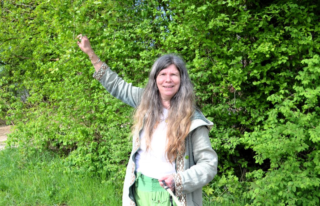 Jetzt, im Frühling, kann man frische grüne Blätter von manchen Bäumen und Sträuchern naschen. (Foto: © Martina Hörle)