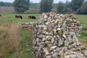 Venta Icenorum verdankt seinen Namen dem keltischen Stamm der Iceni. (Foto © S. Grünwald)