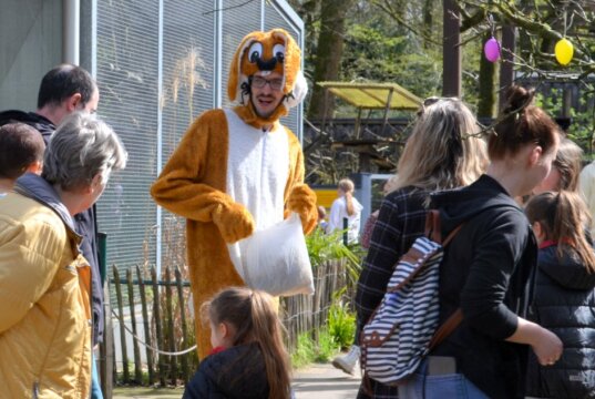 Zu jeder vollen Stunde ging der Osterhase mit den kleinen Besuchern auf Nestersuche durch den Tierpark. (Foto: © Martina Hörle)
