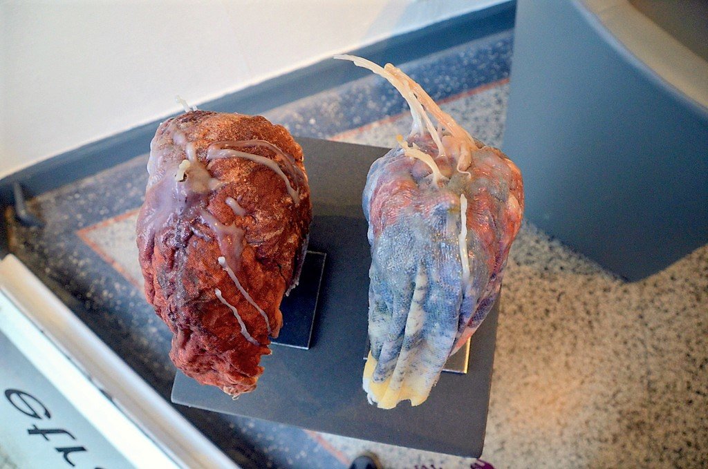 Manche von Petra Höckers Skulpturen erinnern stark an Organe. (Foto: © Martina Hörle)