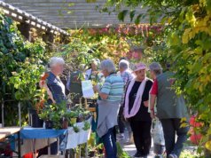 Die erste Bergische Pflanzentauschbörse im Botanischen Garten fand großen Anklang. Es wurde gestaunt, gestöbert und geklönt. (Foto: © Martina Hörle)