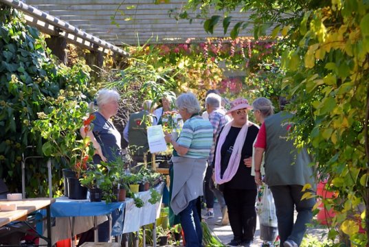 Die erste Bergische Pflanzentauschbörse im Botanischen Garten fand großen Anklang. Es wurde gestaunt, gestöbert und geklönt. (Foto: © Martina Hörle)