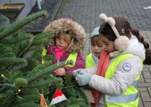 Der richtige Platz für die Pilze und Wichtel wurde sehr genau ausgesucht. (Foto © Sandra Grünwald)
