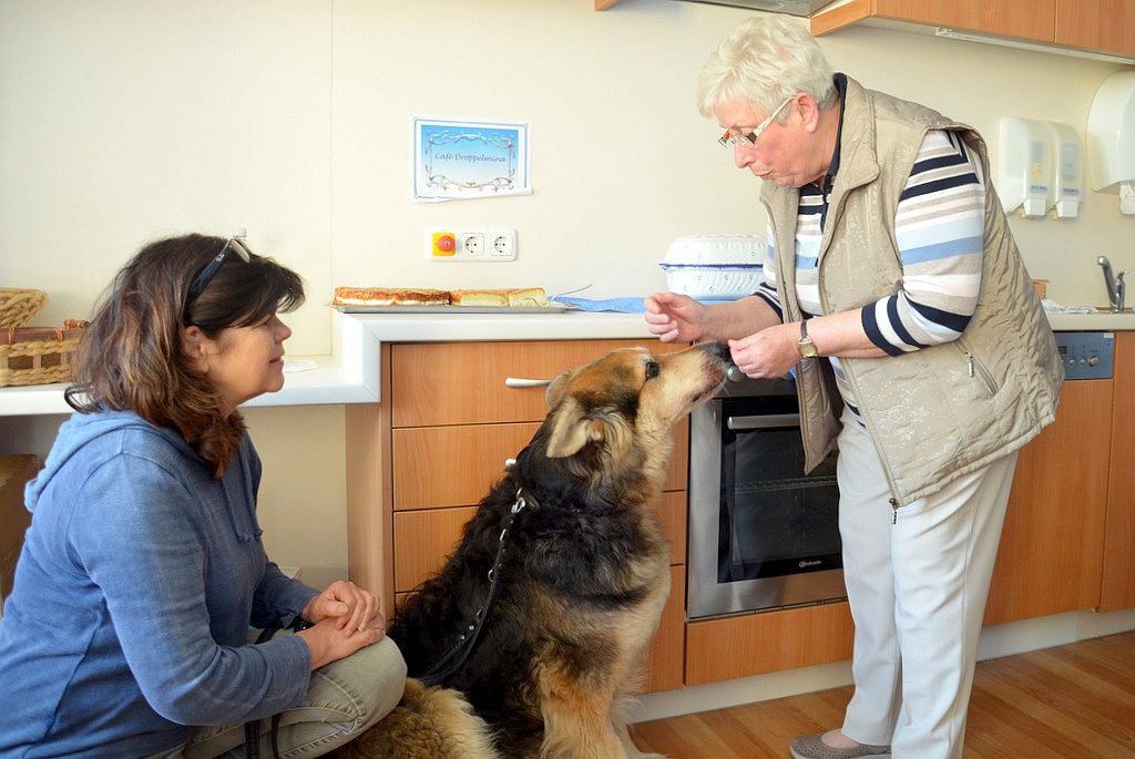 Andrea Kleimt (li.), Leiterin des Tierheims, hat Theo mitgebracht. Die Bewohner und Gäste schließen schnell Freundschaft mit dem Schäferhund-Mix. (Foto: © Martina Hörle)