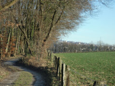 Der Spaziergang über Solingens Höhen lockt mit wunderbaren Aussichten auf Remscheid und Solingen. (Foto © Sandra Grünwald)