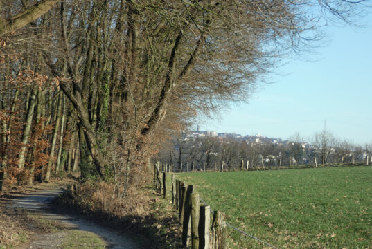Der Spaziergang über Solingens Höhen lockt mit wunderbaren Aussichten auf Remscheid und Solingen. (Foto © Sandra Grünwald)