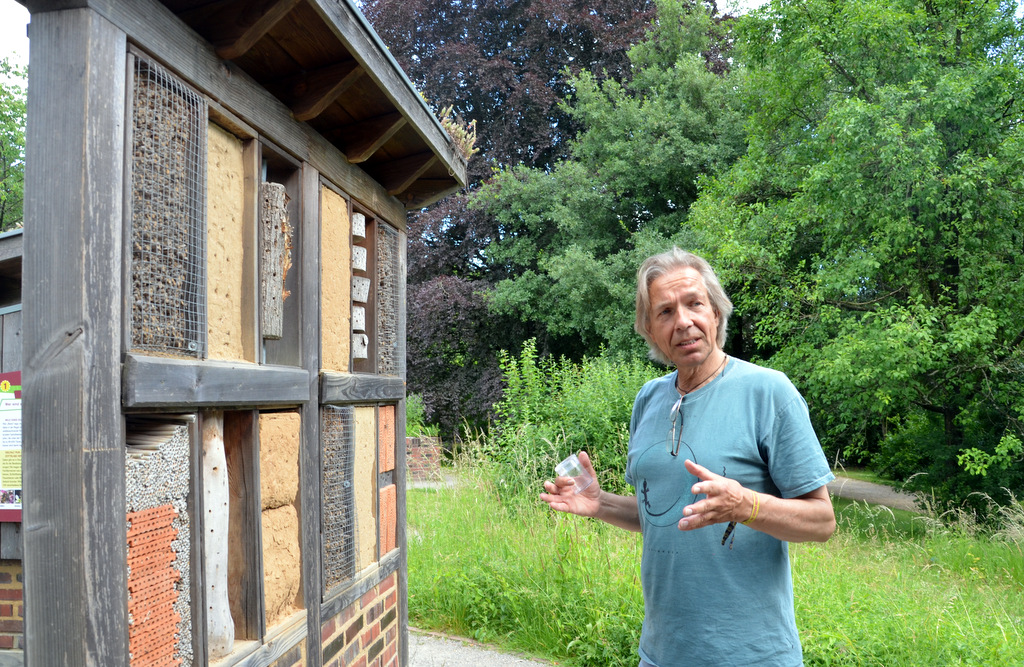 Seit 20 Jahren führt Dr. Jan Boomers Interessierte den Wildbienenlehrpfad entlang. Immer wieder versetzen die unzähligen verschiedenen Bienenarten die Besucher in Erstaunen. (Foto: © Martina Hörle)