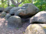 Das Großsteingrab Auf Bruneforths Esch (ca. 3500-3000 v. Chr.) zählt zu den schönsten Großsteingräbern des Emslandes. (Foto: © Martina Hörle)