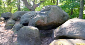 Das Großsteingrab Auf Bruneforths Esch (ca. 3500-3000 v. Chr.) zählt zu den schönsten Großsteingräbern des Emslandes. (Foto: © Martina Hörle)