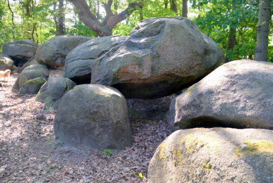 Das Großsteingrab Auf Bruneforths Esch (ca. 3500-3000 v. Chr.) zählt zu den schönsten Großsteingräbern des Emslandes. (Foto: © Martina Hörle)