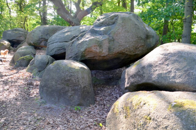 Straße der Megalithkultur - 1 Das Großsteingrab Auf Bruneforths Esch (ca. 3500-3000 v. Chr.) zählt zu den schönsten Großsteingräbern des Emslandes. (Foto: © Martina Hörle)