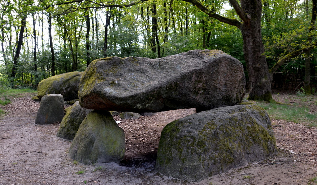 Im Hümmling reihen sich gleich mehrere Grabstätten aneinander. Eines davon ist dieses Wappengrab. (Foto: © Martina Hörle)