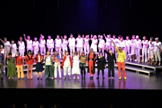 Mit „Ich brauch‘ Tapetenwechsel“ hatte der Frauenchor der Klingenstadt Solingen eine amüsante und unterhaltsame Revue auf die Beine gestellt. (Foto: © Martina Hörle)