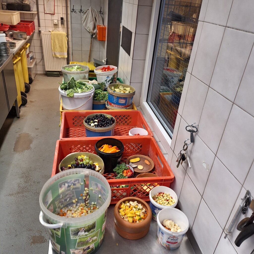 Bereits jetzt bleiben die Vögel in den Gehegen und werden auch hier gefüttert. (Archivfoto: © Martina Hörle)