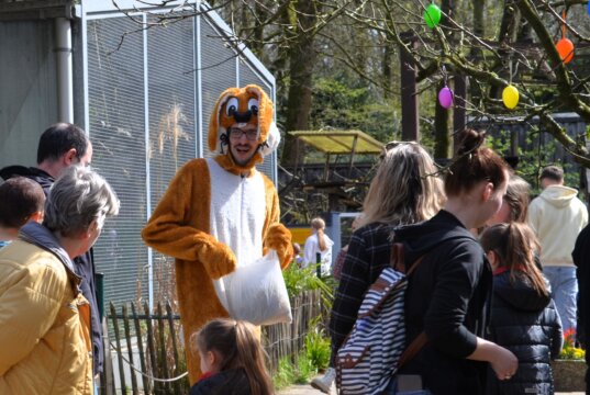 Wieder war der Osterhase beim diesjährigen Osterfest im Vogelpark der absolute Publikumsliebling. (Archivfoto: © Martina Hörle)